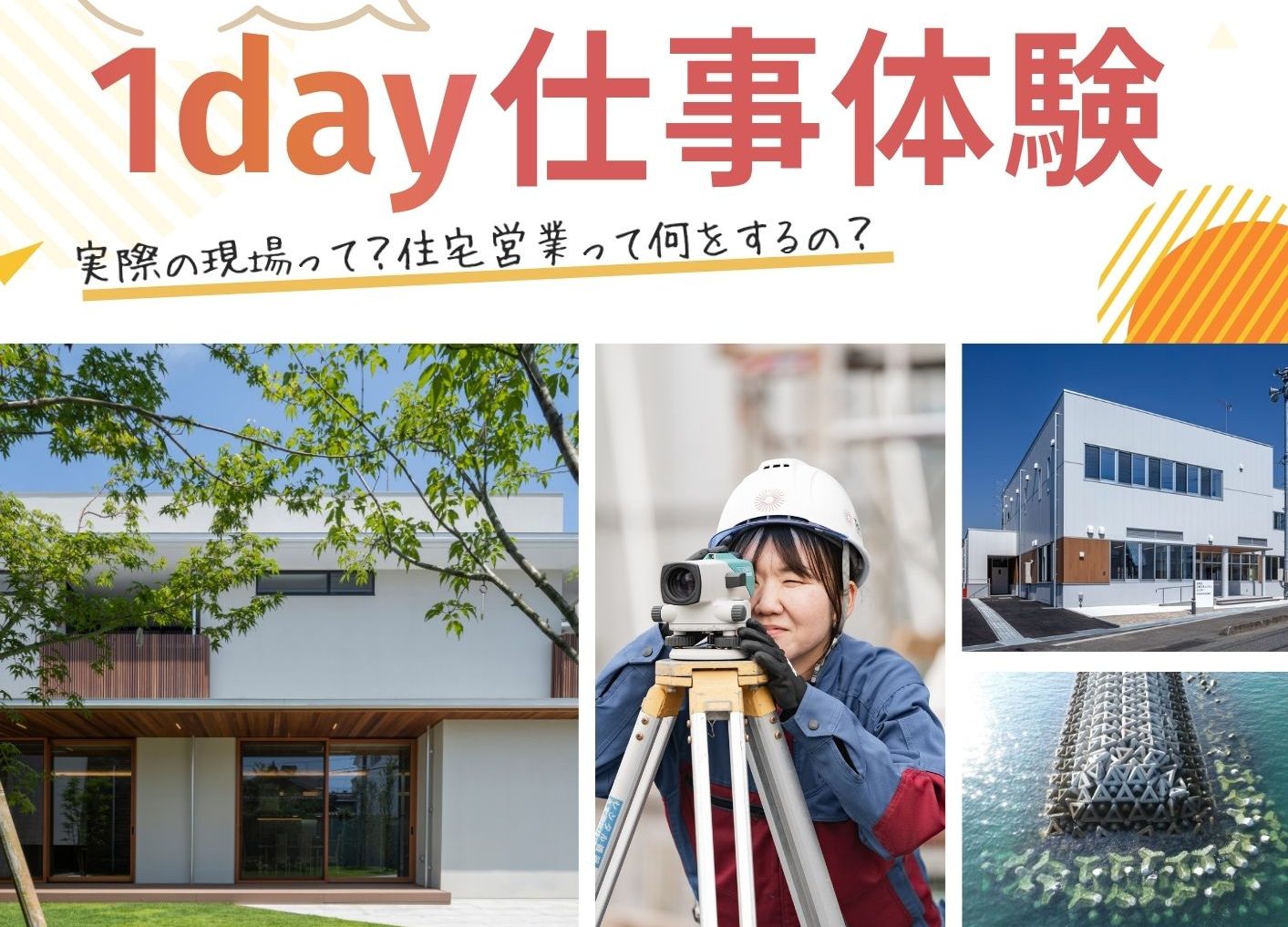 画像：2026.06.06サムネイル